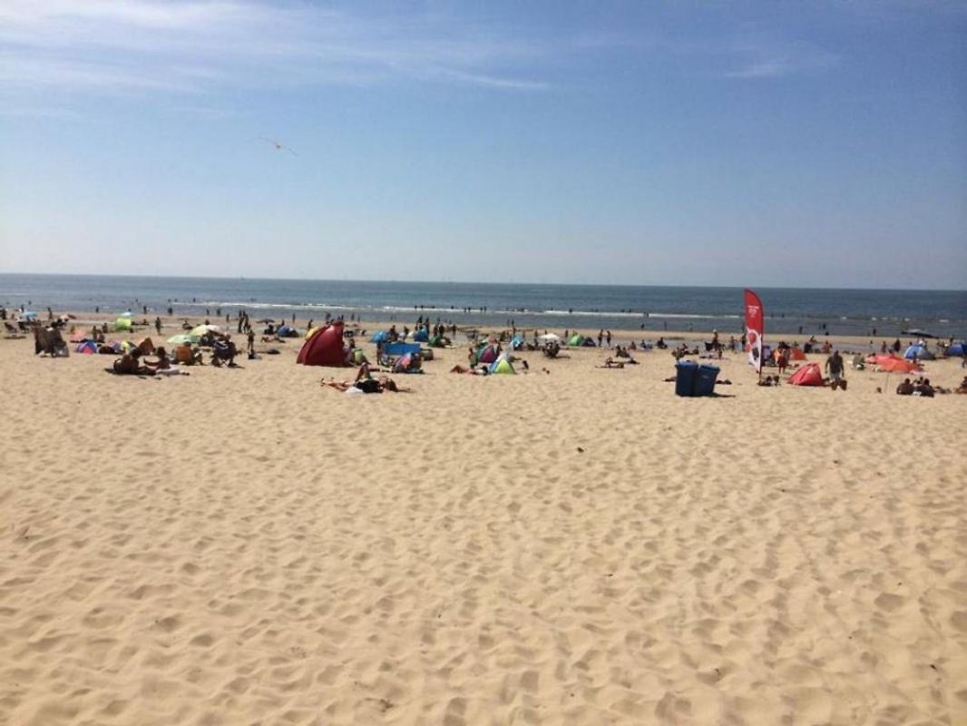 Strand83 Egmond aan Zee Dış mekan fotoğraf