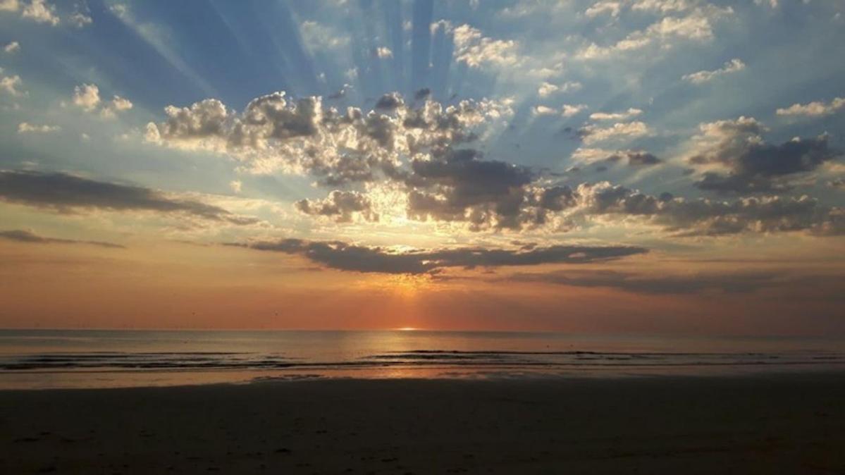 Strand83 Egmond aan Zee Dış mekan fotoğraf