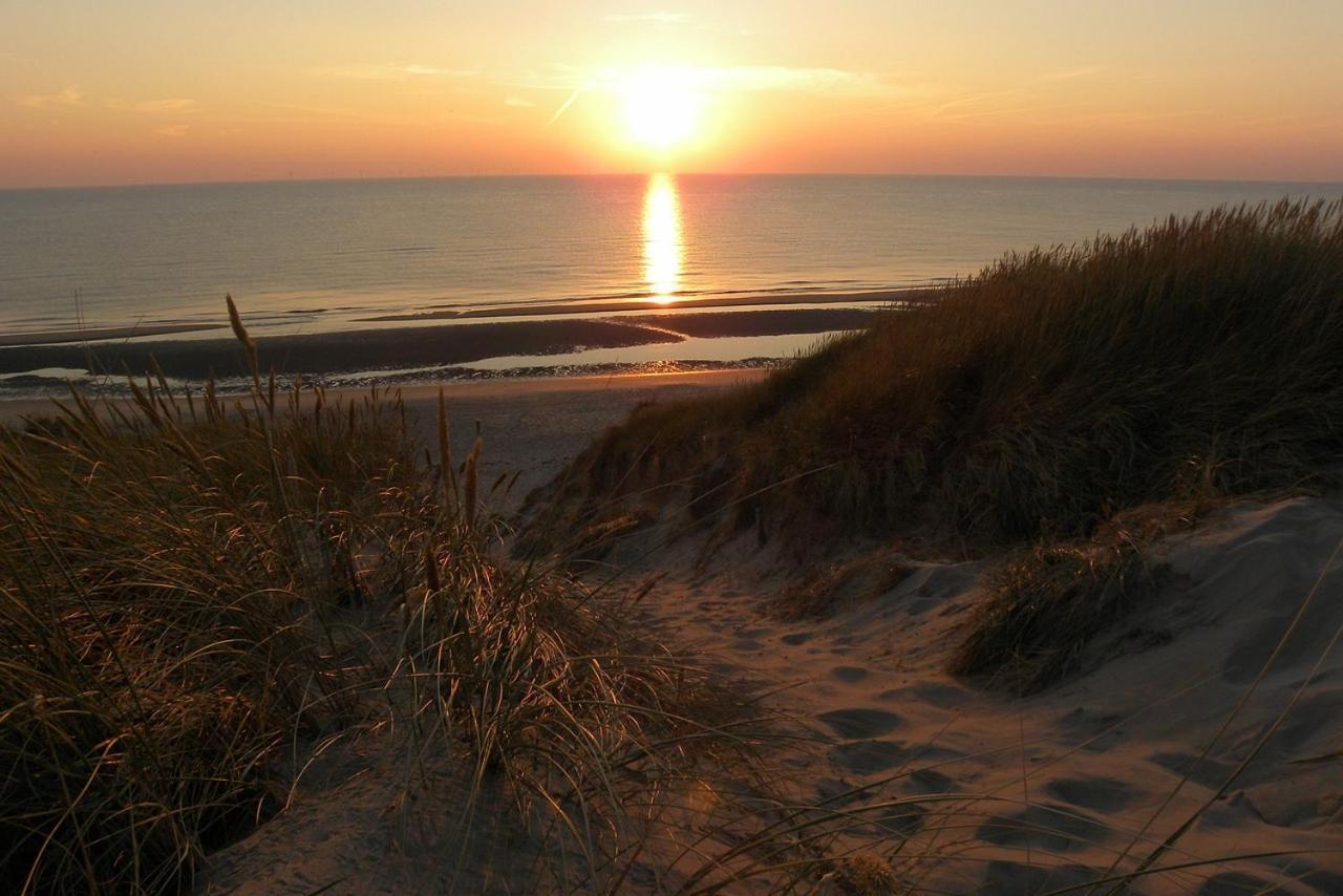 Strand83 Egmond aan Zee Dış mekan fotoğraf